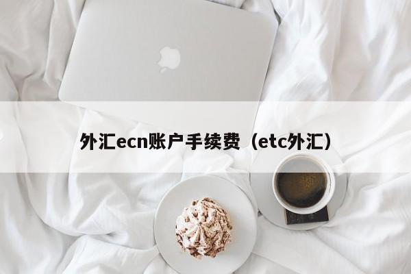 外汇ecn账户手续费（etc外汇）