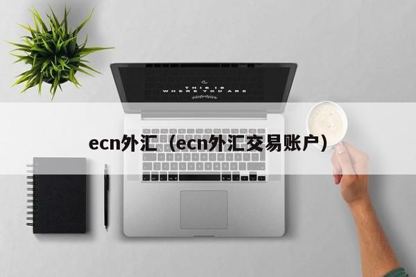 ecn外汇（ecn外汇交易账户）