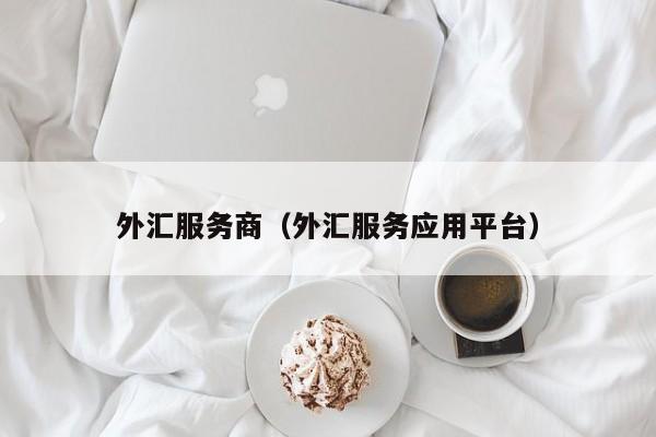 外汇服务商（外汇服务应用平台）