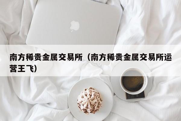 南方稀贵金属交易所（南方稀贵金属交易所运营王飞）