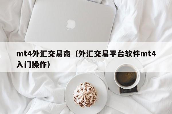mt4外汇交易商（外汇交易平台软件mt4入门操作）