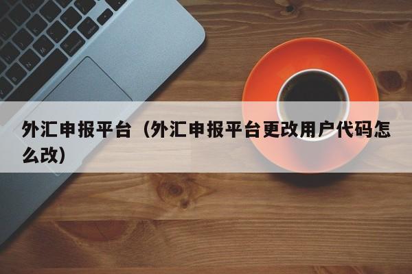 外汇申报平台（外汇申报平台更改用户代码怎么改）