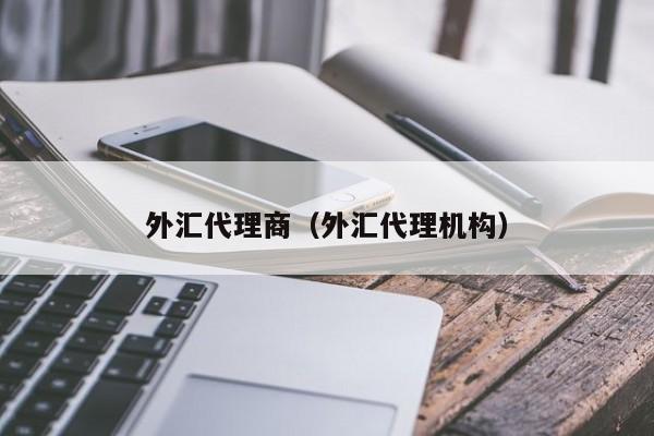 外汇代理商（外汇代理机构）