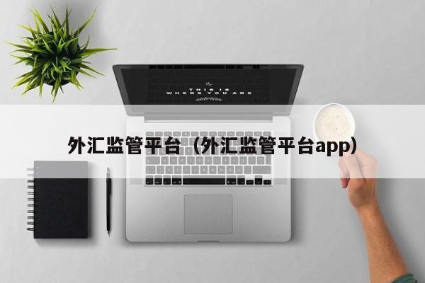 外汇监管平台（外汇监管平台app）