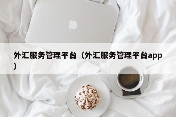 外汇服务管理平台（外汇服务管理平台app）