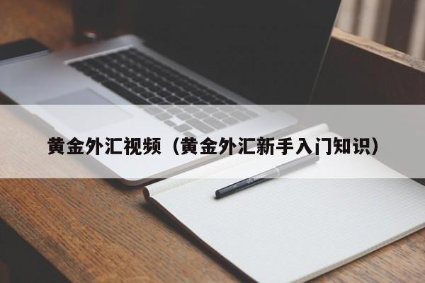 黄金外汇视频（黄金外汇新手入门知识）