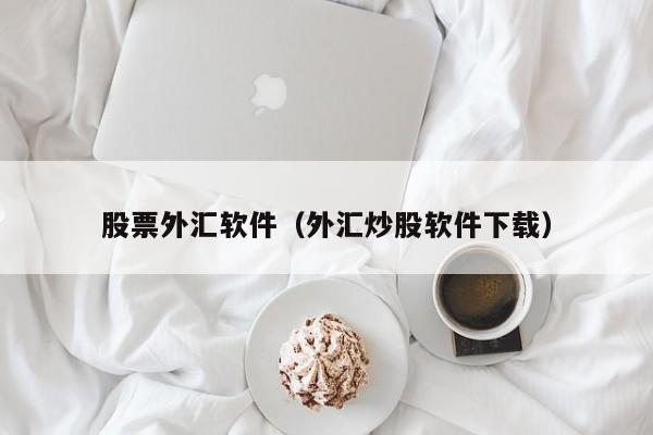 股票外汇软件（外汇炒股软件下载）
