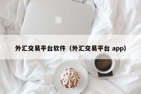 外汇交易平台软件（外汇交易平台 app）