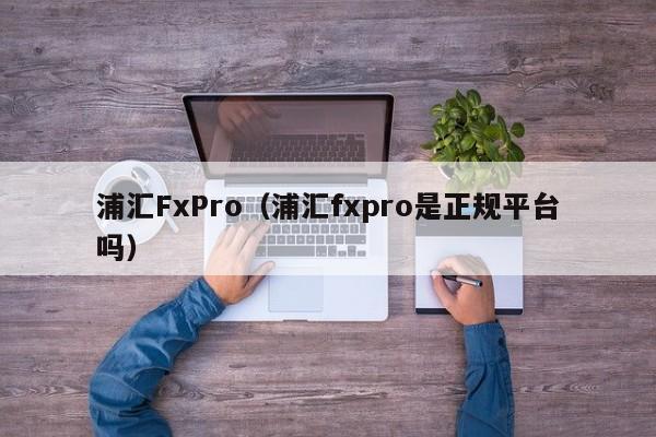 浦汇FxPro（浦汇fxpro是正规平台吗）