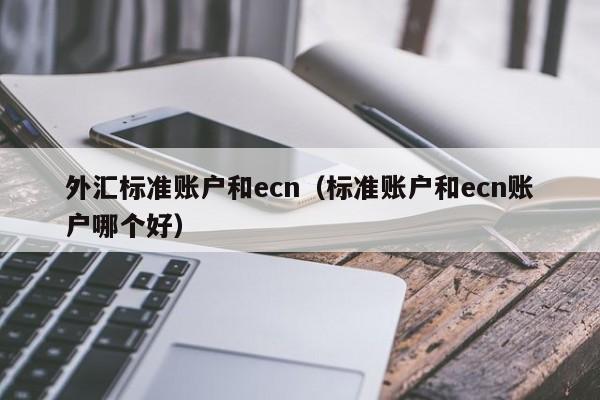 外汇标准账户和ecn（标准账户和ecn账户哪个好）
