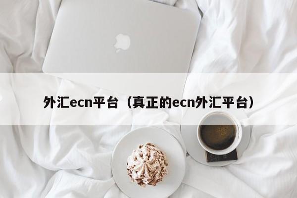 外汇ecn平台（真正的ecn外汇平台）