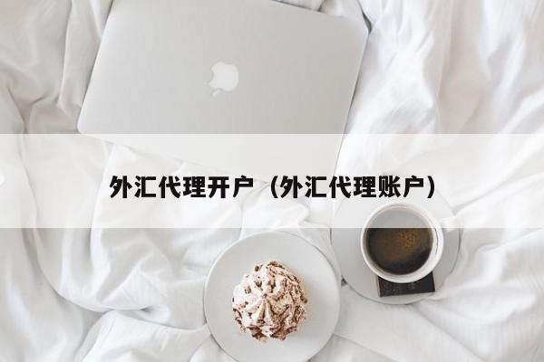 外汇代理开户（外汇代理账户）