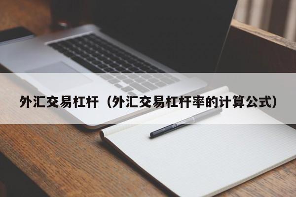 外汇交易杠杆（外汇交易杠杆率的计算公式）