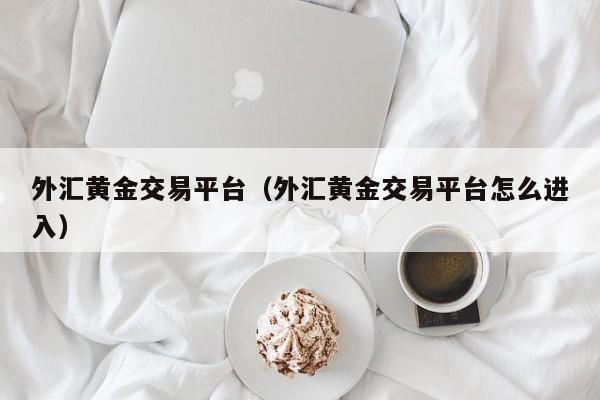 外汇黄金交易平台（外汇黄金交易平台怎么进入）