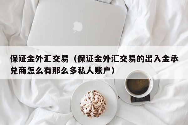 保证金外汇交易（保证金外汇交易的出入金承兑商怎么有那么多私人账户）