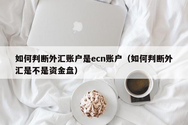 如何判断外汇账户是ecn账户（如何判断外汇是不是资金盘）