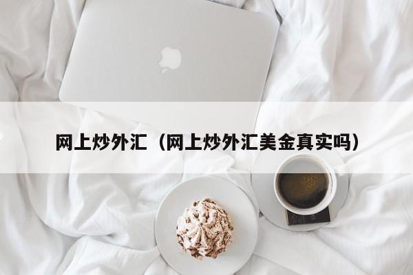 网上炒外汇（网上炒外汇美金真实吗）