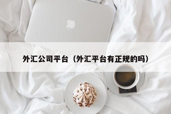 外汇公司平台（外汇平台有正规的吗）