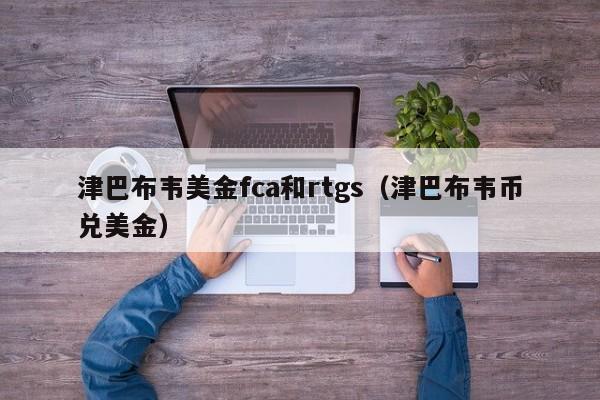 津巴布韦美金fca和rtgs（津巴布韦币兑美金）