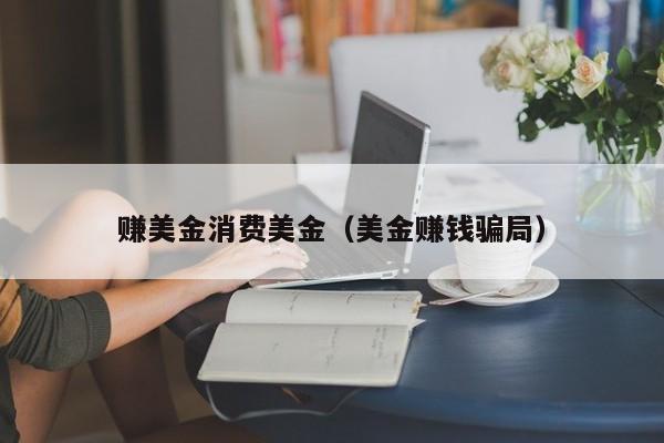 赚美金消费美金（美金赚钱骗局）