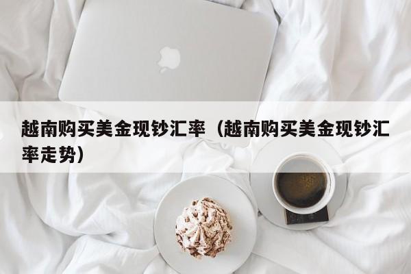 越南购买美金现钞汇率（越南购买美金现钞汇率走势）