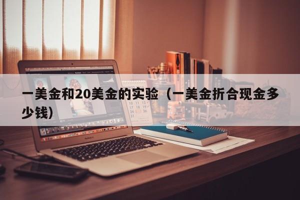 一美金和20美金的实验（一美金折合现金多少钱）