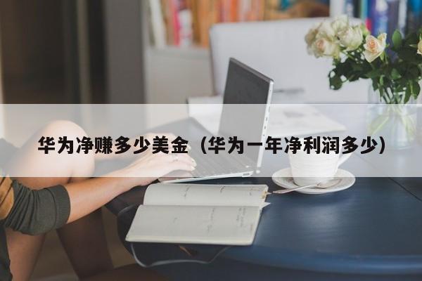 华为净赚多少美金（华为一年净利润多少）