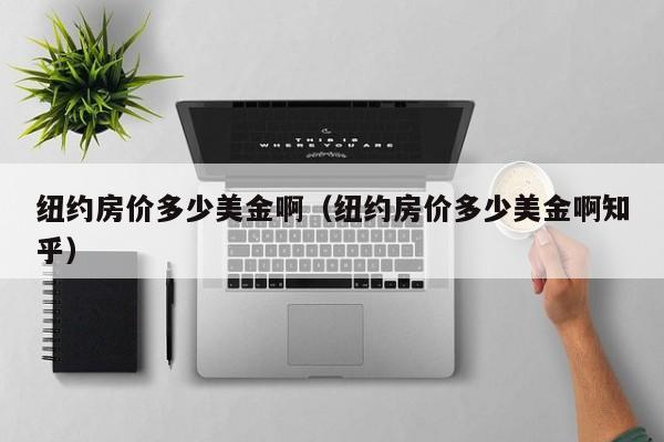 纽约房价多少美金啊（纽约房价多少美金啊知乎）