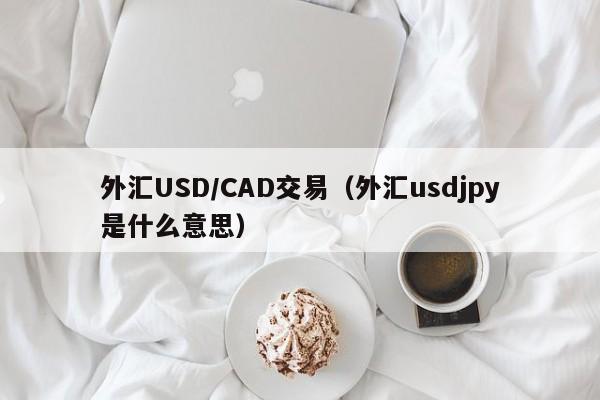 外汇USD/CAD交易（外汇usdjpy是什么意思）